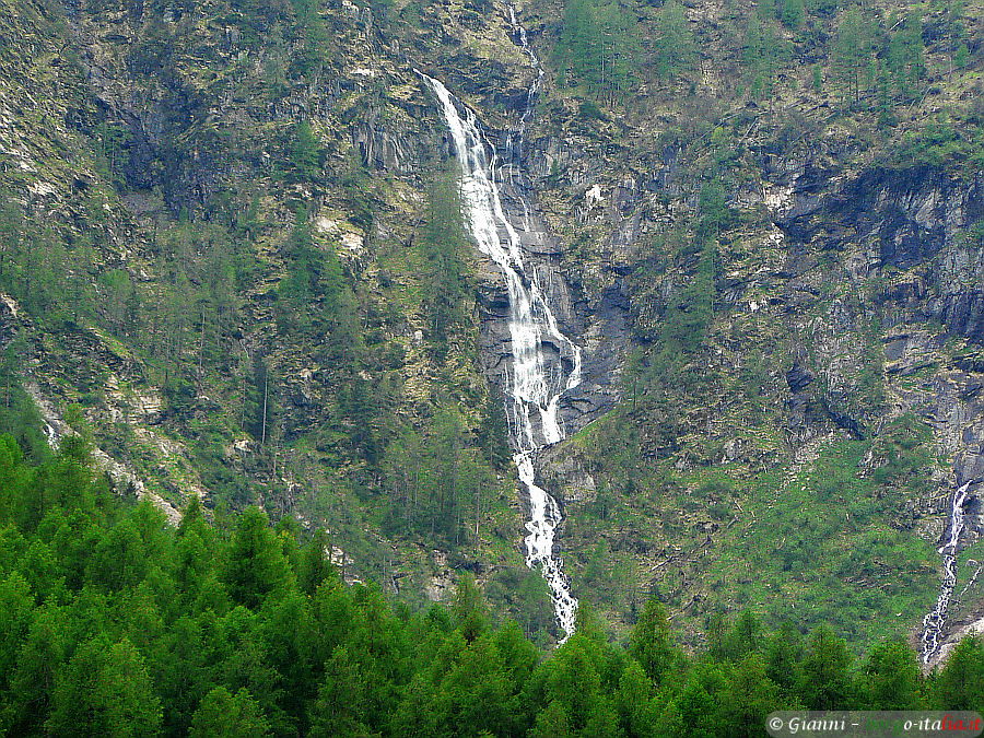 02.2026: Gianni - rabbi (tn)