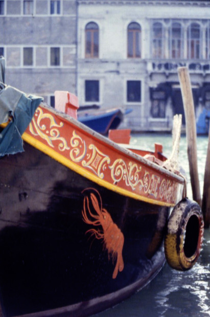11.2013: Gianni - venezia (ve)