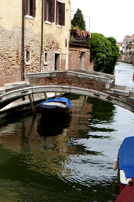 01.2021: Stefania Origlia - venezia (ve)