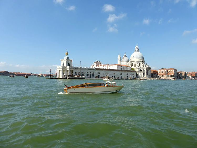 09.2015: Stefania Origlia - venezia (ve)