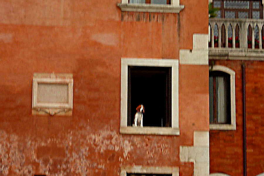 09.2023: Stefania Origlia - venezia (ve)