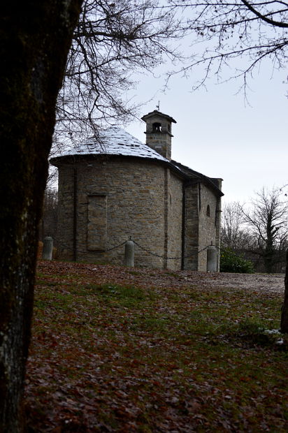 01.2016: Gianni - vernasca (pc)