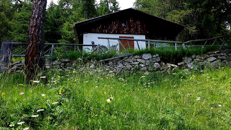 07.2016: Nadia Bellotto - pieve di cadore (bl)