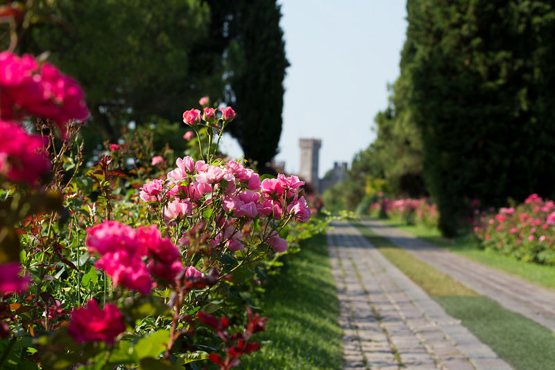 06.2015: Staff Sigurtā - valeggio sul mincio (vr)