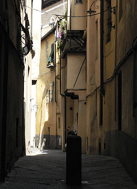11.2016: Gianni - lucca (lu)