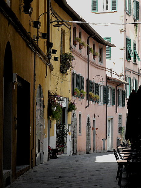 11.2016: Gianni - lucca (lu)
