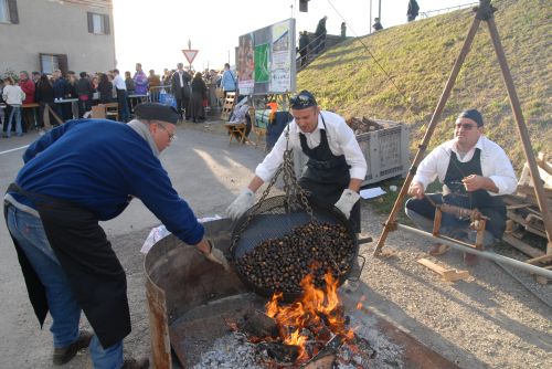 festa di San Martino