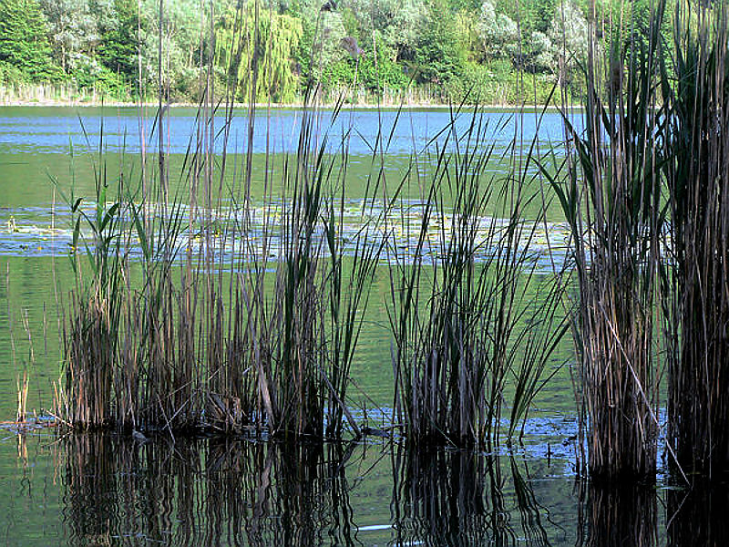 lago di Fimon