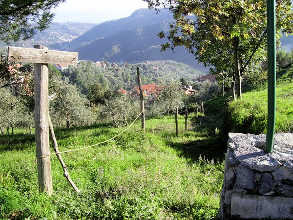 ligurian hills