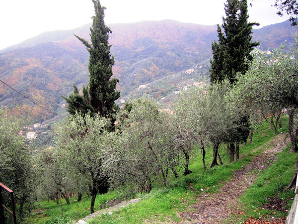 ligurian hills