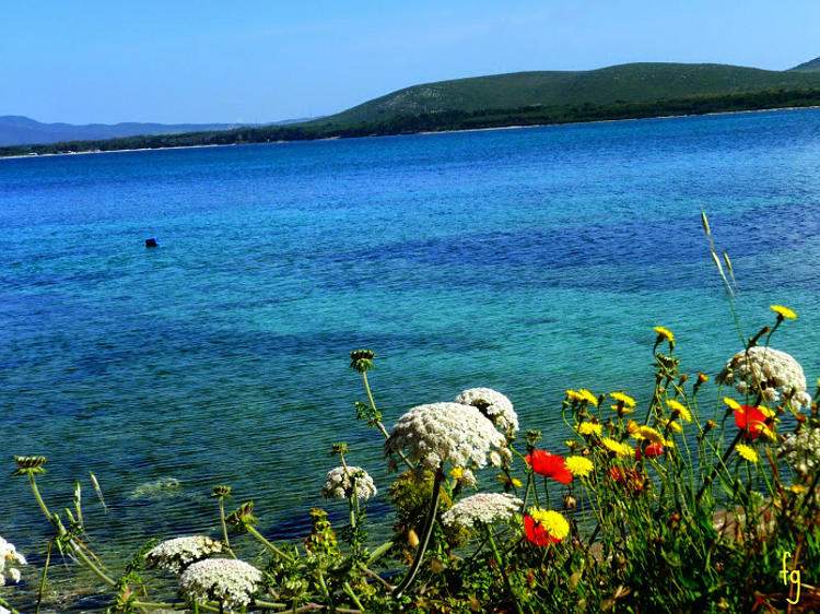 Alghero piccola barcellona