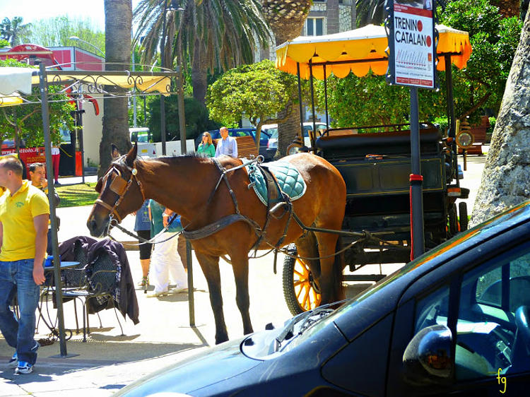 Alghero piccola barcellona