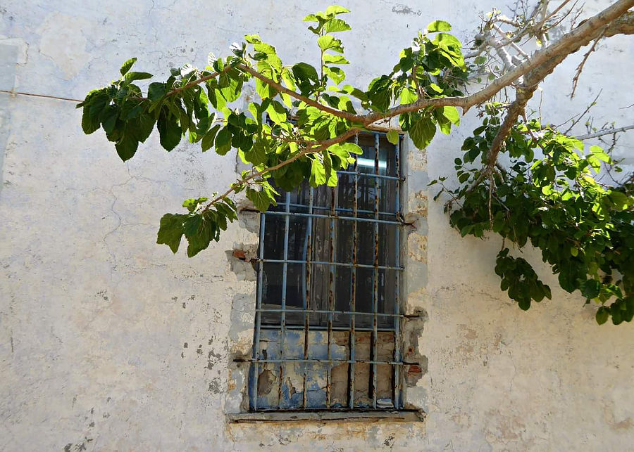 Asinara prison