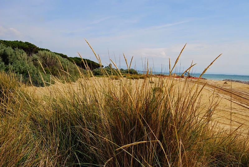 le dune di Bibione