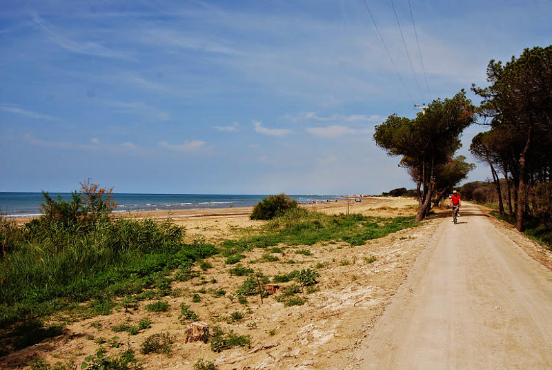 le dune di Bibione