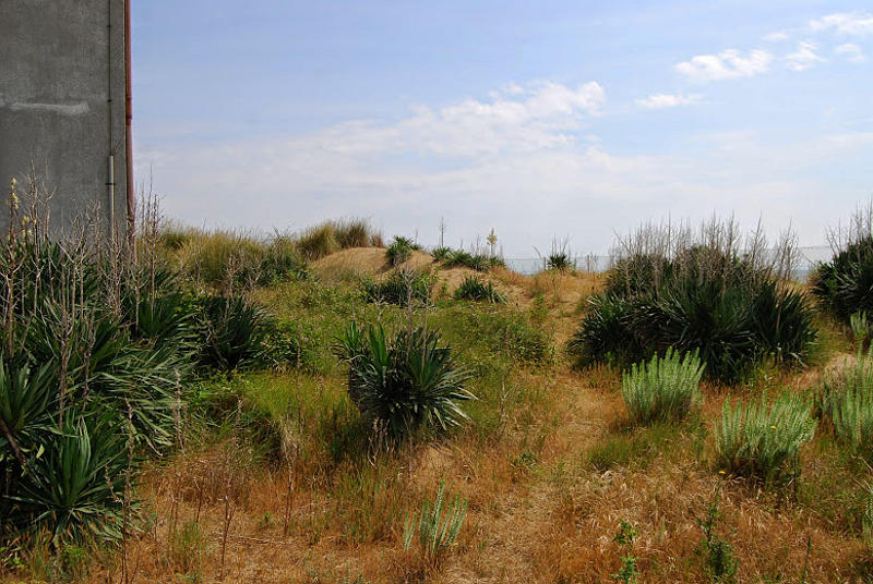 le dune di Bibione