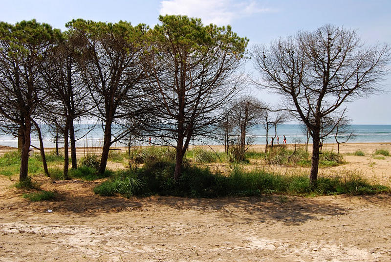 le dune di Bibione