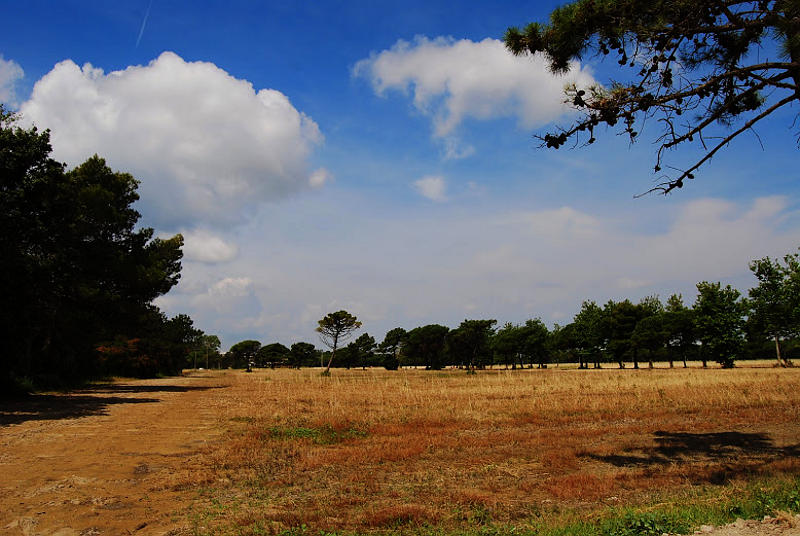 le dune di Bibione