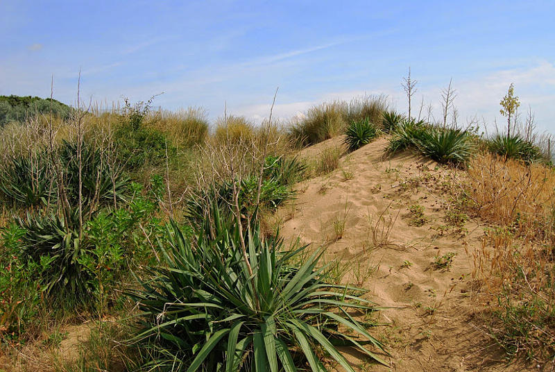 le dune di Bibione