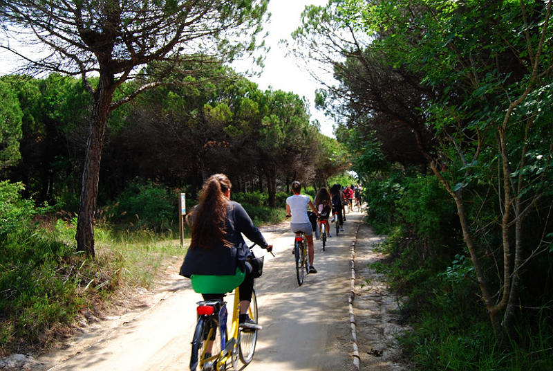 le dune di Bibione