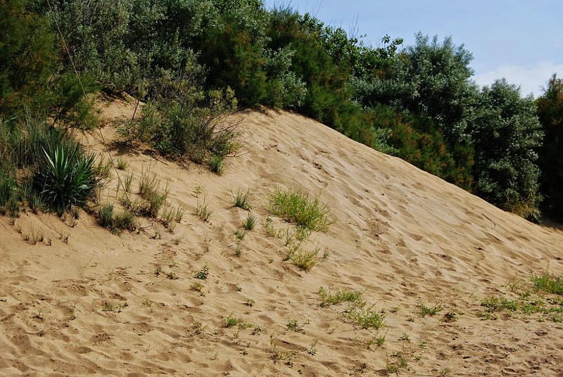 le dune di Bibione