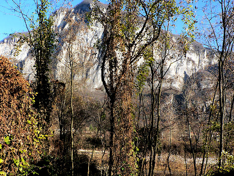 Brenta river