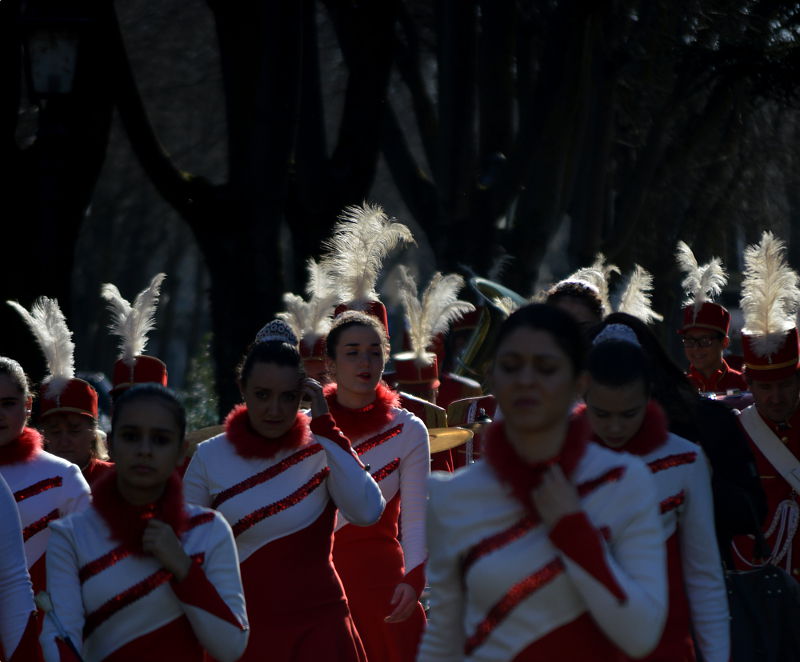 carnevale di Busseto 2016