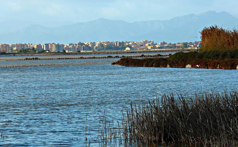 saline e stagni