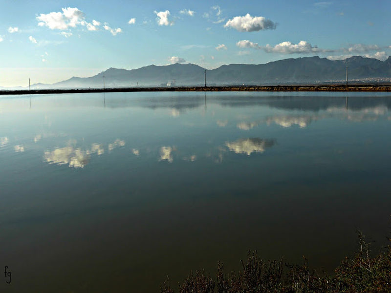 saline e stagni