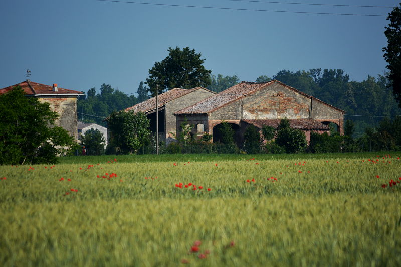 farmhouses