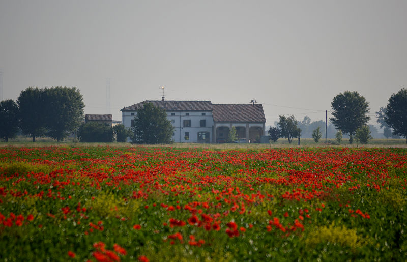 farmhouses