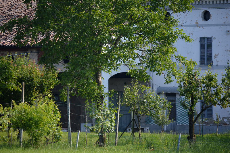 farmhouses