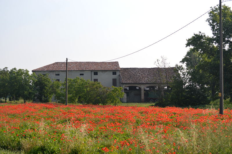 farmhouses