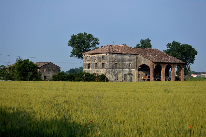 farmhouses