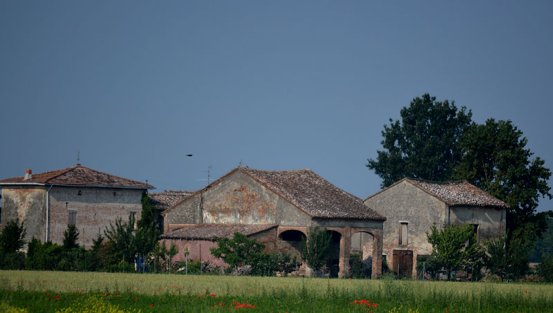 farmhouses