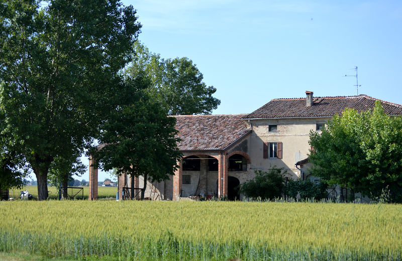 farmhouses