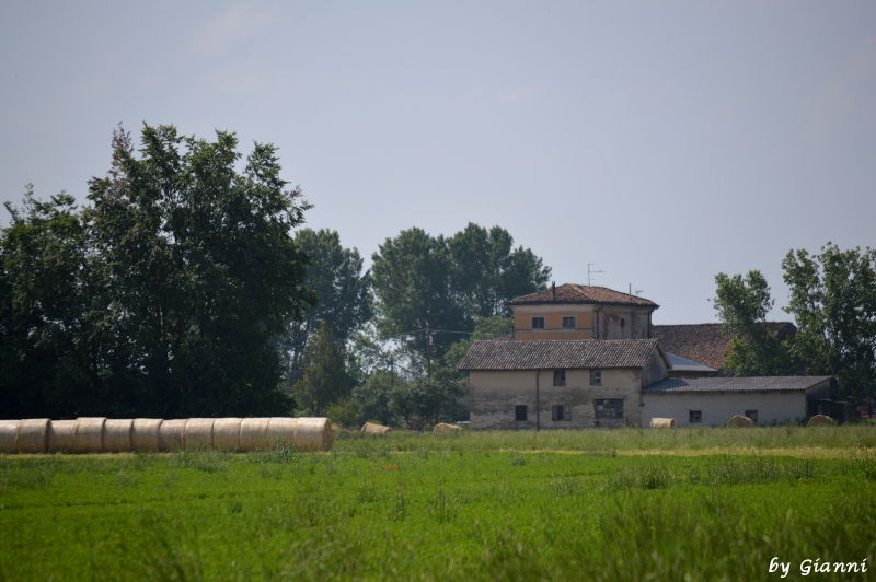 farmhouses