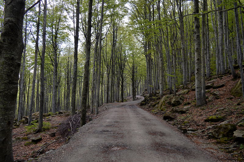 parco dei 100 laghi