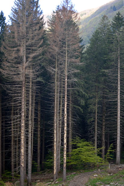 parco dei 100 laghi