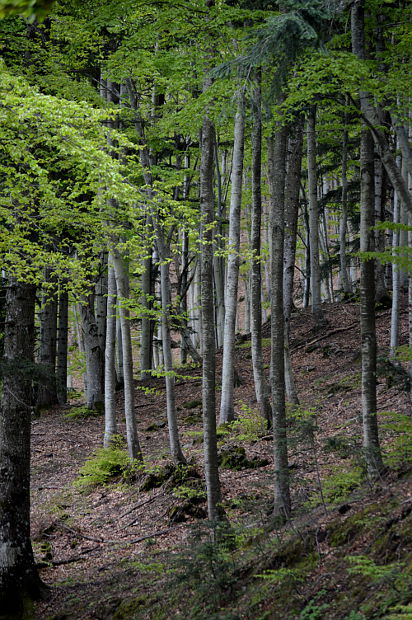 parco dei 100 laghi