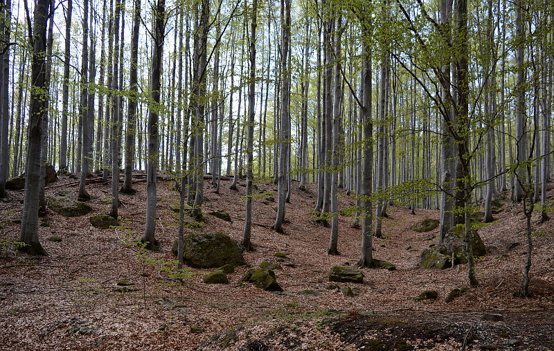 parco dei 100 laghi