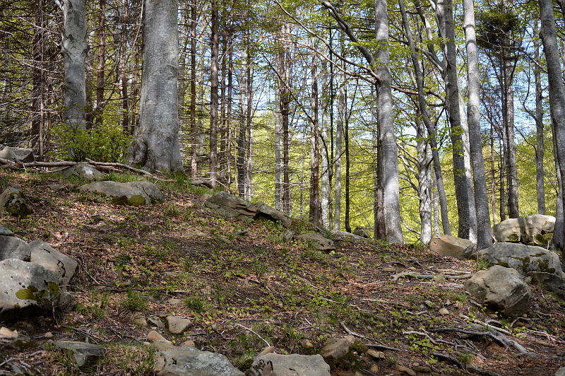 parco dei 100 laghi