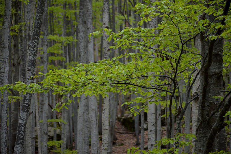 parco dei 100 laghi