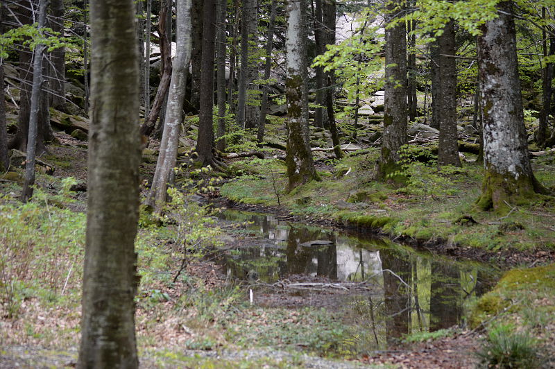 parco dei 100 laghi