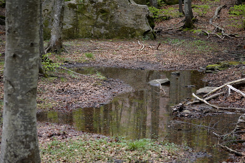 parco dei 100 laghi