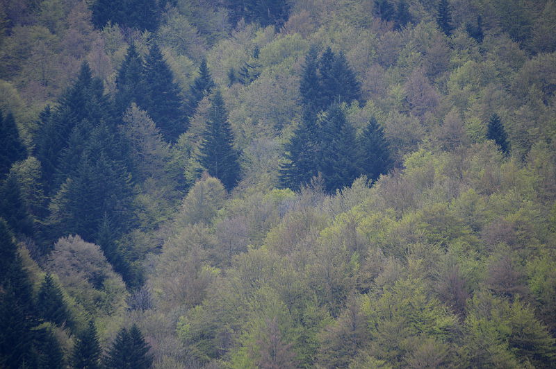 parco dei 100 laghi