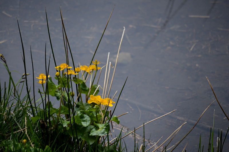 parco dei 100 laghi