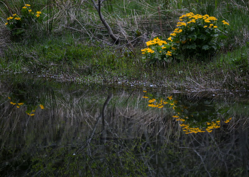 parco dei 100 laghi