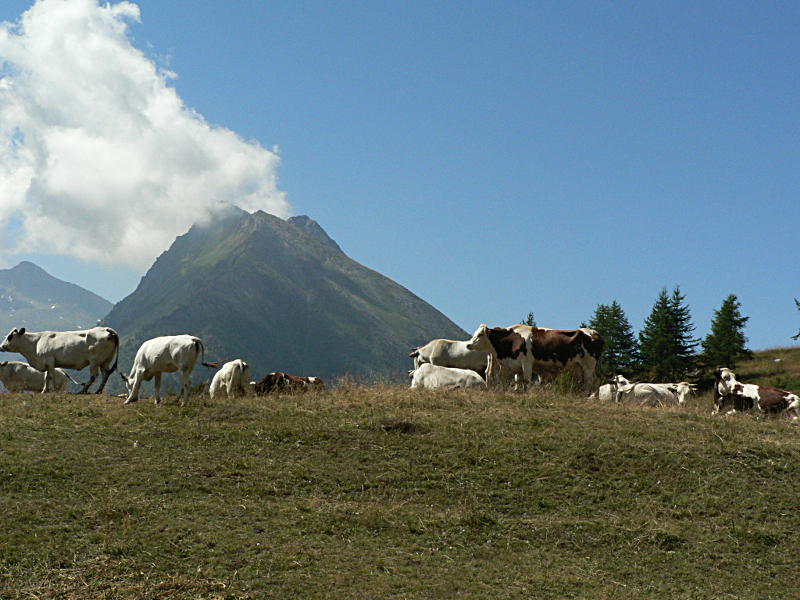 colle delle Finestre