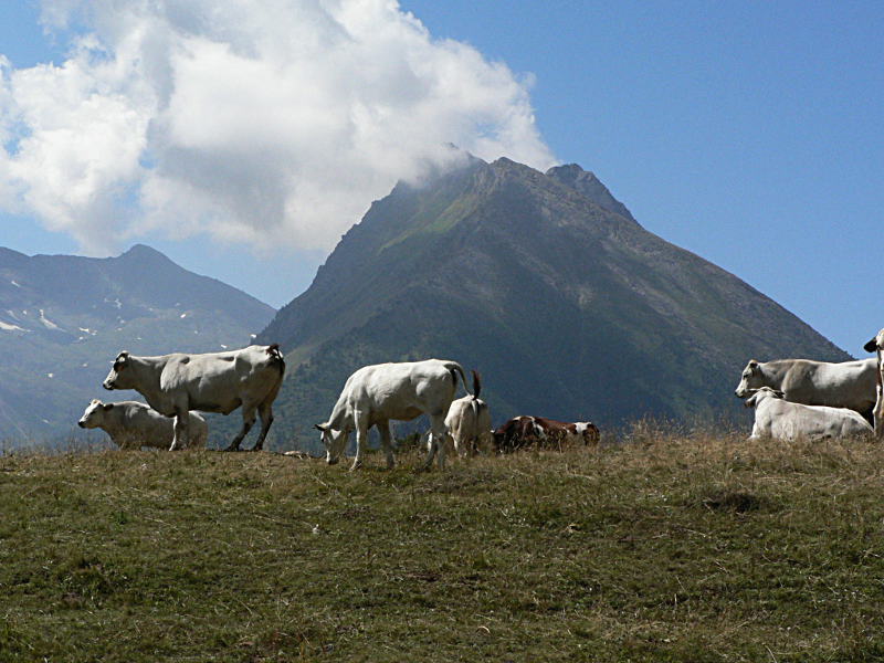 colle delle Finestre